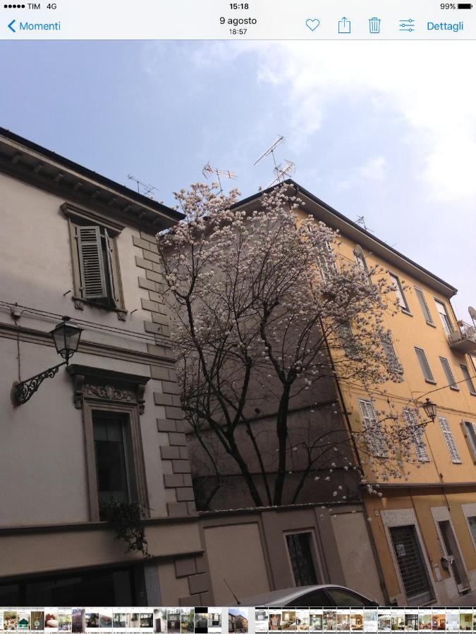 Magnolia Bed and Breakfast Casale Monferrato Eksteriør billede